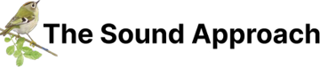 The Sound Approach