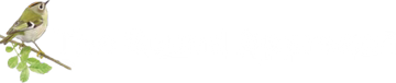 The Sound Approach