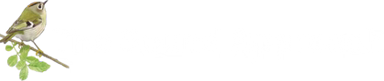 The Sound Approach