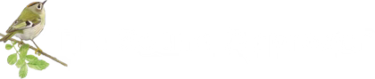 The Sound Approach