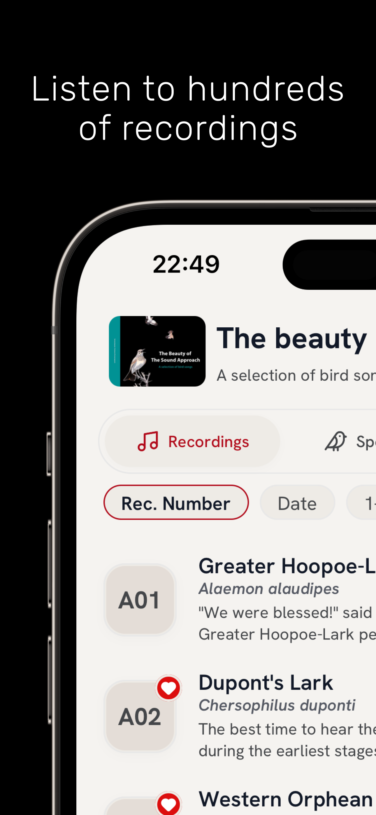 The Sound Approach App - Recording playback